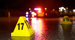 Lecia-R85-Public-Safety-Web-Portlet-800x428-Public-Safet3